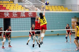 官方：韩国人高亨进主哨足协杯决赛，德国人丹克特担任VAR